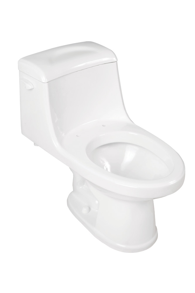 HD SUpply Plumbing Proprietary Brands one-piece toilet